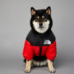 Windproof And Rainproof Dog Winter Warm Pet Cotton-padded Clothes - Image 5