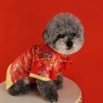 New Pet Hanfu Clothes Dress Gift Box - Image 5