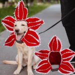 Dog Halloween Chomper Costume - Pet Holiday Demon Hat Scary Headband Flower Cosplay Outfits Funny Headwear Stranger Clothes For Medium Dog - Image 2