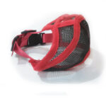 Short-mouthed Dog Cover - Image 6