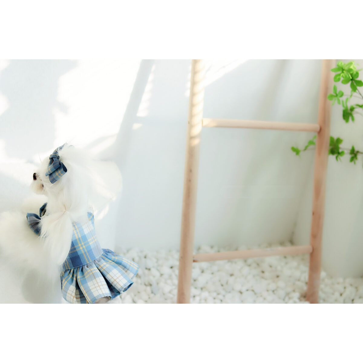 Small Body Blue JK Plaid College Style Cute Suspender Skirt - Image 3