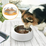 Round Stainless Steel Smart Heating Bowl Feeder - Image 6