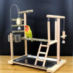 Parrot Toys Tiger Skin Peony Bird Stand Xuanfeng Xiaotai Stand Pepper Wooden Stand Sub-stand Pole - Image 3