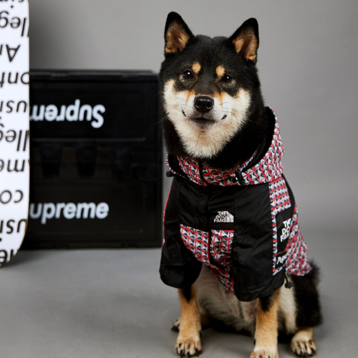 Fashion Brand Windproof And Rainproof New Dog Raincoat Shell Jacket - Image 9