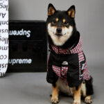 Fashion Brand Windproof And Rainproof New Dog Raincoat Shell Jacket - Image 9