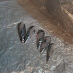 Dark Goth Wind Irregular Metal Wear Nail Sticker - Image 3