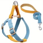 Dog Harness And Leash No Pull Nylon Pet Leashes For Small Dogs French Bulldog Chihuahua Lead Leash And Collar Set For Yorkies - Image 8