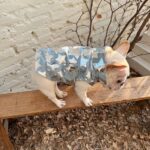 Pet Cat And Dog Summer Thin Denim Vest Jacket - Image 10