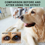 Dogs And Cats Eye Care Eye Drops - Image 2