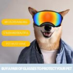 Fashionable Ski Sunglasses For Large And Medium-sized Pet Dogs - Image 2