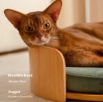 Cathouse Doghouse Removable Solid Wood Cat Bed - Image 6