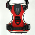 Dog GPSLed Light Positioner Chest Strap - Image 5