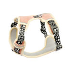 The Dog's Chest Strap Is Out For Walking The Dog - Image 8