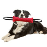 Durable Dog Bite Stick Creative Dog Tug Chew Stick For Teeth Cleaning, Ideal For Medium Breeds Stick For Interactive - Image 7