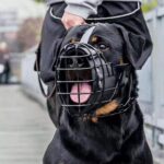 Tactical Mouth Cage Horse Dog Golden Retriever Demu Impact Muzzle - Image 2