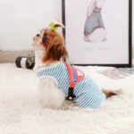 Pet Dog Small Backpack Vest S-XXXL - Image 5