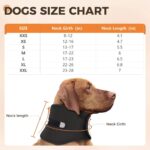 NEW Dog Support Collar Collar Anti-licking Sprained Neck Head Cover Pet Neck Support Small Medium Large Adjustable Universal - Image 2