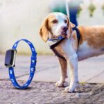 GPS pet positioning collar - Image 5