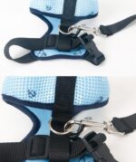 Pet Sling Nylon Collar Traction Rope - Image 3