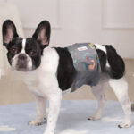 Pet Washable Physiological Dog Diaper Pants