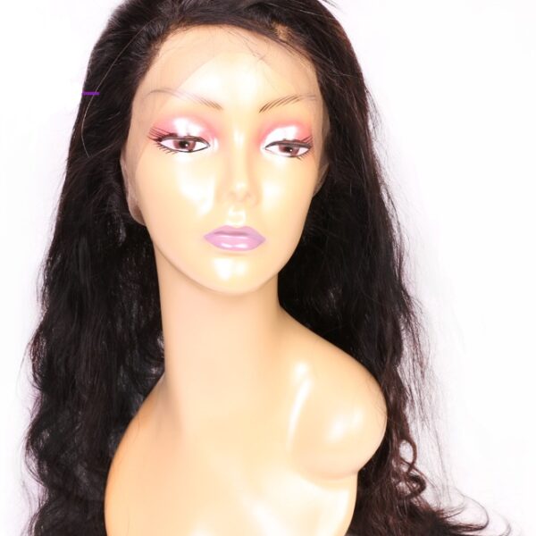 360 lace front wig