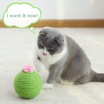 Interactive Tumbler Cactus Cat Scratcher Ball Catnip Toys Natural Sisal Scraper Tree Tower For Cat Indoor Play Hunting Exercise - Image 8