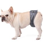 Sterilization Menstrual Panties Anti-harassment Male Dog Diaper Pants Bellyband - Image 2
