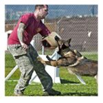 Household Biting Sleeve Dog Training Supplies - Image 9