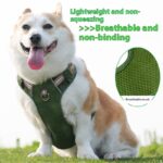 Explosion-proof Reflective Retro Leather Pet Harness - Image 4