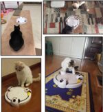 Caterminator The Interactive Mouse Toy For Cats - Image 4
