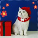 Pet Cat Dog Wool Felt Flower Hat - Image 2