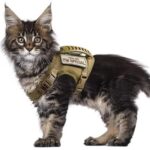 Cat Chest Strap Vest Hand Holding Rope - Image 4
