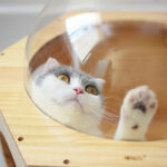 Solid Wood Scratching Post Cat Drilling Hole Luxury Cat Tree Toy - Image 4