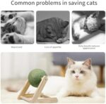 Catnip Balls Catnip Toys For Cats Cat Nip For Cats Safe Healthy Cat Nip Toys Giant Catnip Ball With Holder Cat Toys For Indoor Cats - Image 7