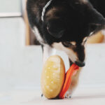 Pet Sniffing Educational Toys Stress Relief Ball - Image 2