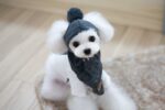Tide pet clothes dog hat bib suit Teddy Bomei wool scarf autumn winter hat pet scarf - Image 3