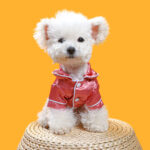 Spring And Summer Pet Pajamas - Image 2