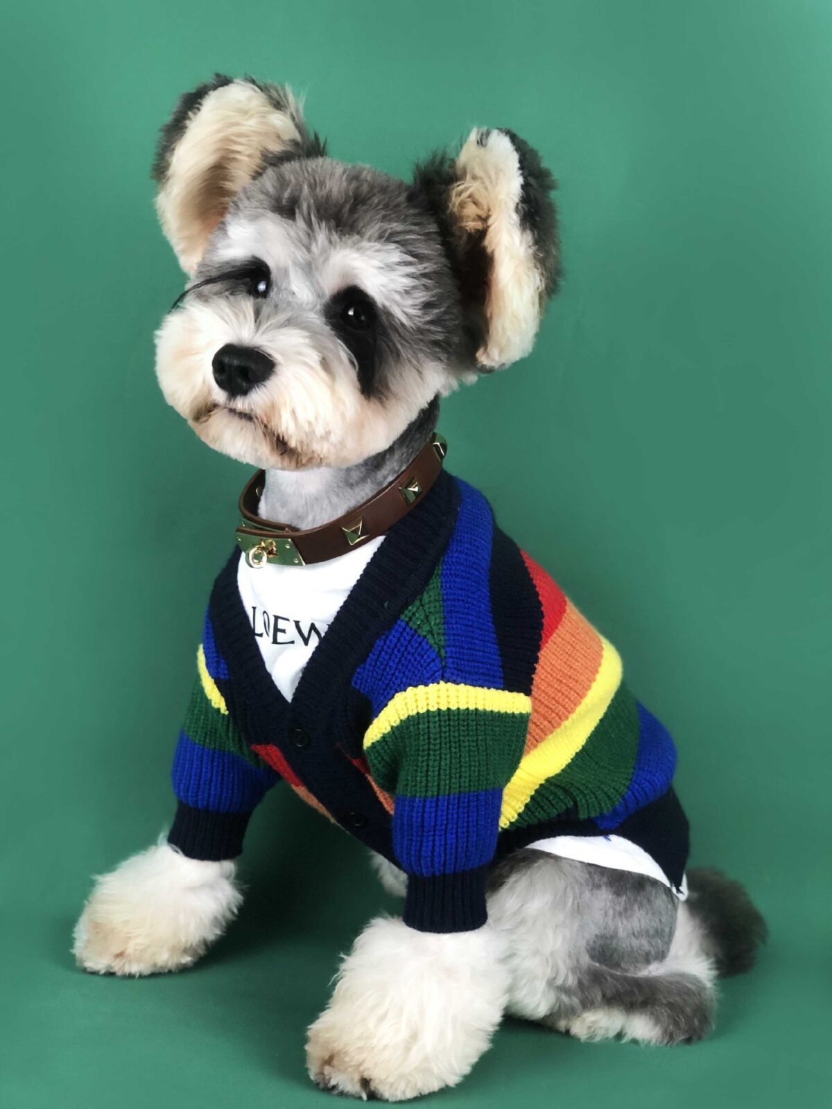 Dog Rainbow Striped Cardigan - Image 6