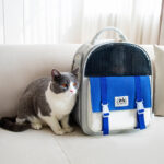 Portable And Foldable Large-capacity Cat And Dog Backpack - Image 3