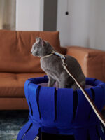 Double-deck Scratching Board Multi-functional Cat Litter - Image 4