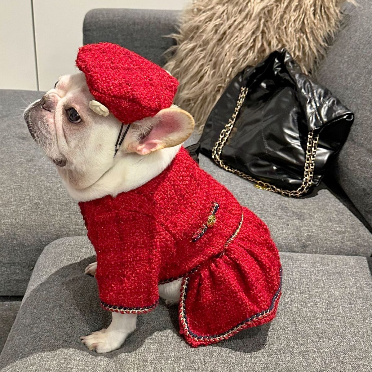 Pet Trendy Brand Popular Clothing - Image 1