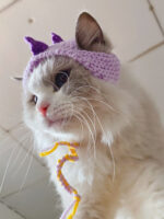 Pet Knitted Hat Little Dinosaur Short Cat - Image 7