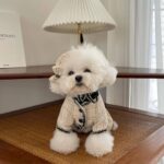 Pet Cat Dog Clothing Princess Skirt - Image 4
