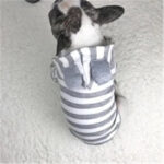 Pet clothing striped sweater - Image 2