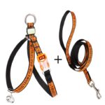 Pet Cat Bell Chest Strap Haulage Rope Package Vest Small Dog Teddy Leash - Image 4