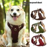 Explosion-proof Reflective Retro Leather Pet Harness - Image 3