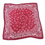 Women's Paisley 70cm Professional Scarf - Image 3