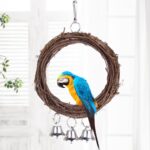 Parrot swing - Image 4
