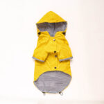Windproof and rainproof pet jacket