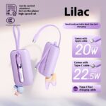 Large Capacity Digital Display Fast Charge Portable With Cable Portable Battery For Mobile Phones - Image 3